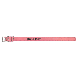 Dog Collar