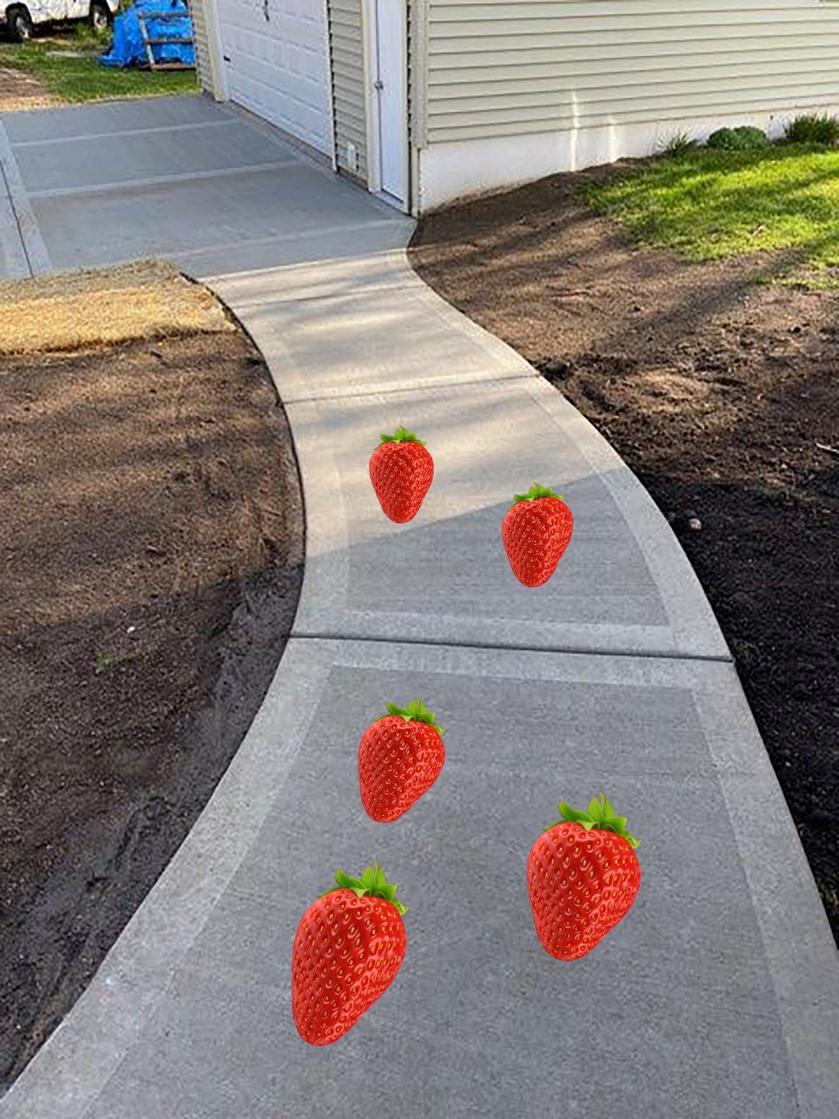 5 Textured Strawberry Removable Floor Decals Sidewalk Birthday Party Peel Stick